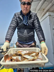 25일)오전 도다리참가자미 조황~!!