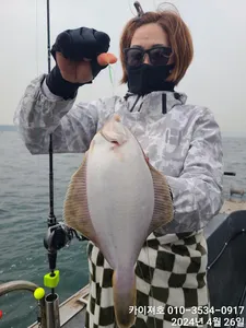 26일)오전 도다리가자미 쭈꾸미