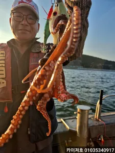 10일 야간 돌문어! 오늘도 폭발^^