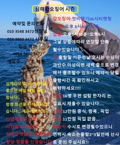  제주에이스호!!(18일)갑오징어조황입니다(9.77톤 16석운영)문의01035483472~01038603472