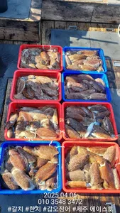 제주에이스호!!(4월6일)심해갑오징어조황입니다010 35483472~010 3860 3472{9.77톤22인승16석운영