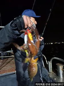 23일 야간 돌문어 조황 입니다