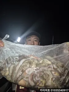 11,12일 야간 돌문어 전원히트! 타작 대폭발