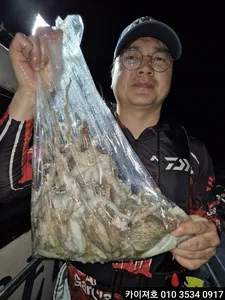16일)야간 돌문어 조황!