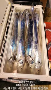 제주에이스호!!(7월21.22일)북제주권갈치조업조황입니다010 35483472~010 3860 3472{9.77톤22인승14석운영