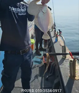 26일)왕도다리참가자미 타작~!!