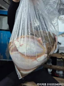 29일)오전 왕도다리참가자미 타작했어요~!!