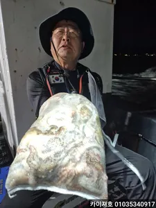 17일 돌문어 대폭발!