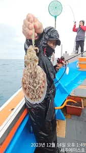  제주에이스호!!!12월14 갑이첫탐사다녀왔습니다 문의01035483472~01038603472