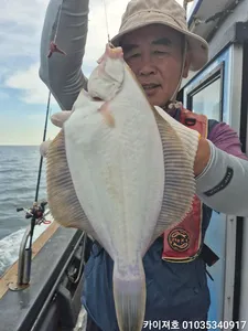 20일)왕도다리참가자미 넉넉 합니다