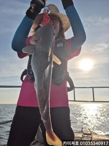 사모님들도 히트히트 우당탕탕 25일 대구조황