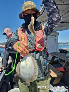 왕도다리참가자미 최고 금 9시 여유자리