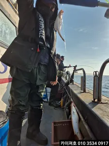 10일)오전 도다리 참가자미 조황