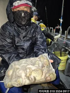 11일) 토 오전 06 돌문어 모집중 입니다