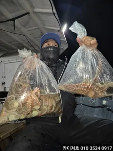 16일 야간 돌문어 조황 입니다