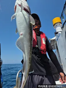 오늘도 역시 전원타작 만쿨! 09일 대구조황