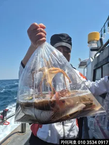 29일)오전 도다리 참가자미 조황!