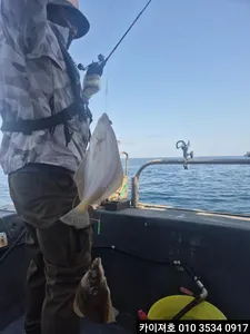 24일)목 오전 08시 도다리참가자미 모집중~