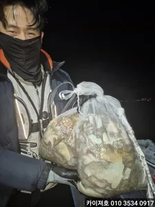 26일 야간 돌문어 조황!