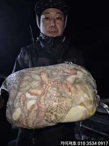 28일 야간 돌문어 조황!
