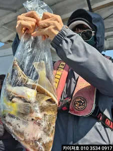 21일 도다리.참가자미 조황!