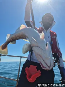 전원 타작 만쿨! 31일 대구조황