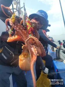 [진해문어낚시] 쭉~!! 올라타는 돌문어 찐한 손맛보시며 즐낚 열낚 하고왔습니다^0^