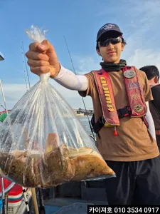 17일)오후 도다리참가자미조황