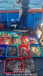  제주에이스호!!(10일)사이즈굿갑이조황입입다 문의~01035483472~01038603472