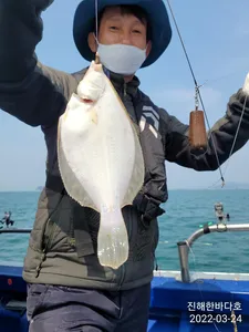 오늘도 씨알좋고 손맛 끝내주는 도다리 후두두둑~!! 손맛 보시며 신나게 잡고 즐기다 왔습니다~^0^