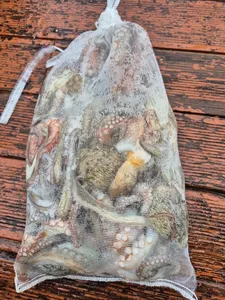 01일 주간 돌문어 조황!