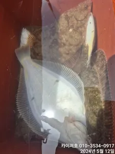 씨알이 엄청 좋습니다 대박,화요일 08시 여유자리 운동장