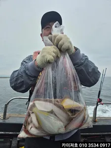 16일 도다리.참가자미 조황!