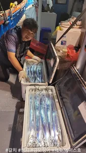 제주에이스호!!(26일)대갈치조황입니다.문의 010 3548 3472~010 3860 3472