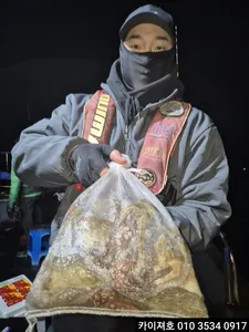 30일 야간 돌 문어 조황 입니다