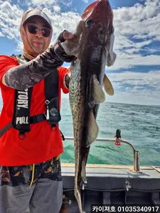 왕대구 수요일 집중 모집중 입니다