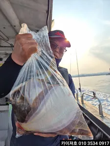 31 오후 역대급 조황