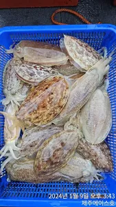  제주에이스호!!(9일)갑돌이 조황입니다~01035483472~01038603472