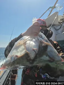 7일)오전 씨알도 마릿수도 대박~!!