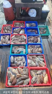 제주에이스호!!(3월9일)심해갑오징어조황입니다010 35483472~010 3860 3472{9.77톤22인승16석운영..