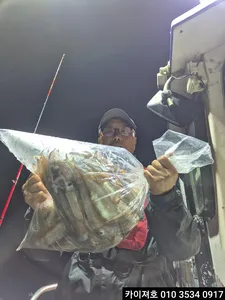 16일 야간 오징어 조황!!