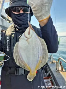 5일)오전 )왕도다리참자미 조황