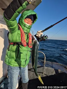 9일)방어가 쿨러 가득 삼치.튜나