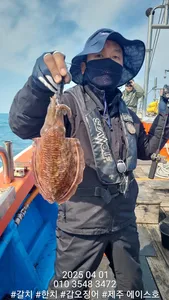 제주에이스호!!(4월1일)심해갑오징어조황입니다010 35483472~010 3860 3472{9.77톤22인승16석운영.