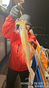 제주에이스호!!(2일)한치조황입니다..문의010 3548 3472~010 3860 3472