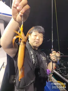 [진해 화살촉오징어낚시] 쭉쭉 당기는 화살촉오징어 손맛 보고왔습니다^0^