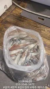 제주에이스호!!(7일)갈치 한치 조업조황입니다 문의010 3548 3472 010 3860 3472