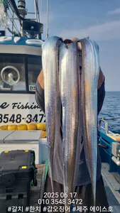 제주에이스호!!(6월17일)갈치조황입니다010 35483472~010 3860 3472{9.77톤22인승12석운영