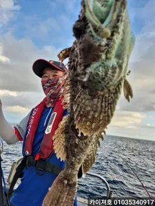 오늘도 전원히트! 타작~ 만쿠르 19일 대구조황