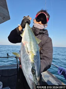 주말 오전오후 삼치방어 모집중 입니다